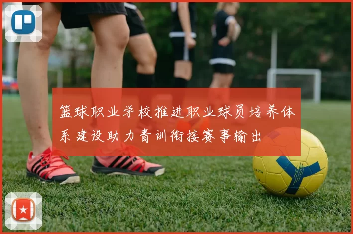 篮球职业学校推进职业球员培养体系建设助力青训衔接赛事输出