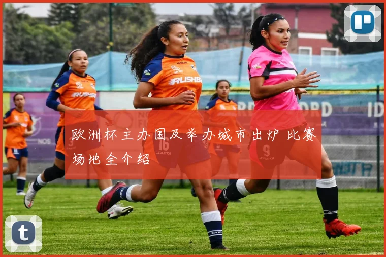 欧洲杯主办国及举办城市出炉 比赛场地全介绍