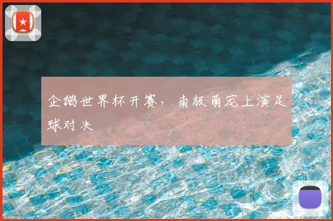 企鹅世界杯开赛,南极萌宠上演足球对决