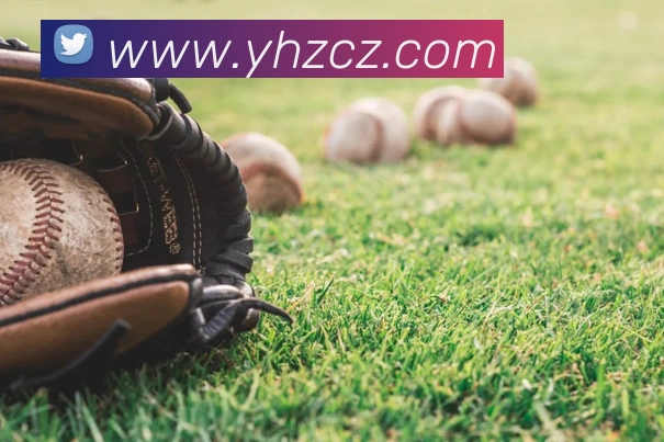 球盟会.(中国)官方网站平台生态图